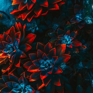 按风格分类 By Art Style