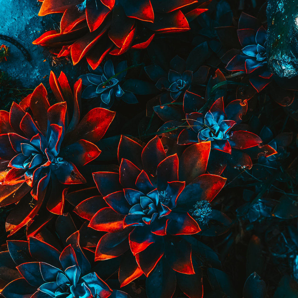 freelance artist floral 4 freelance artist floral 4