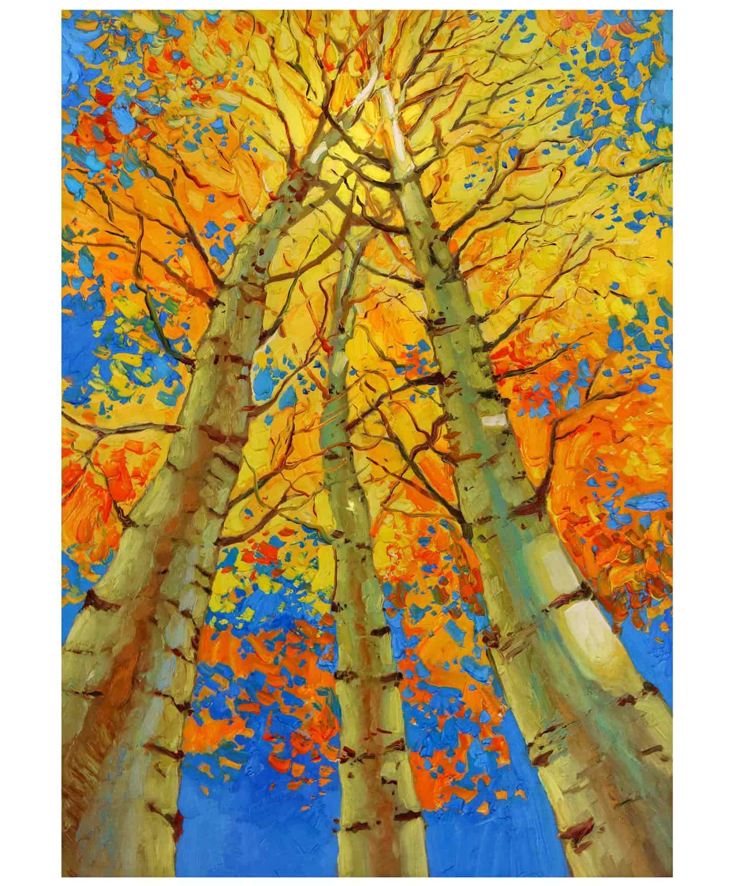 scparis214 scparis214