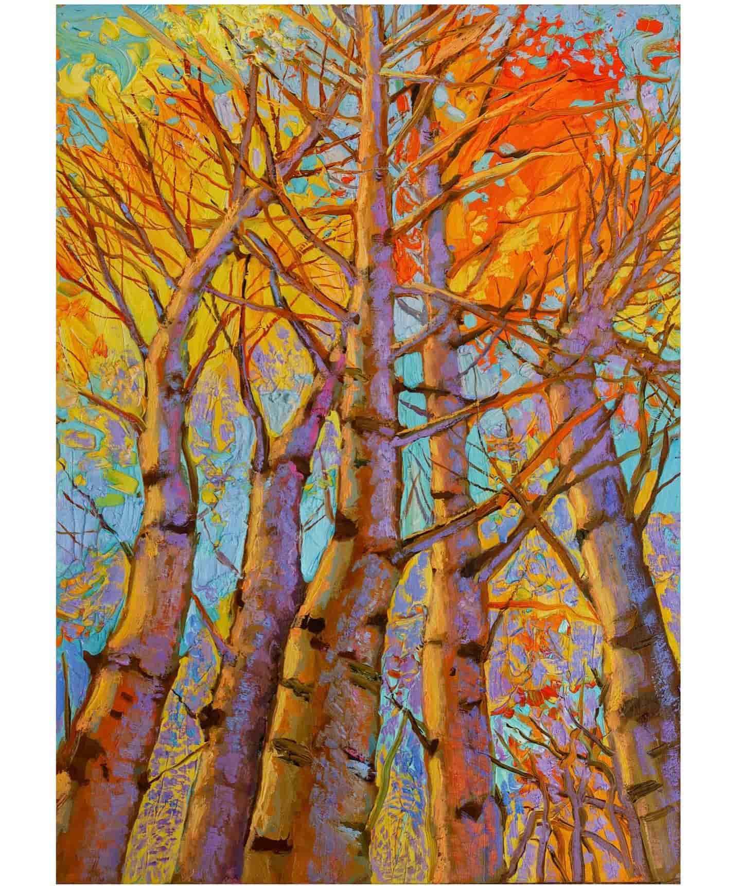 scparis224 scparis224