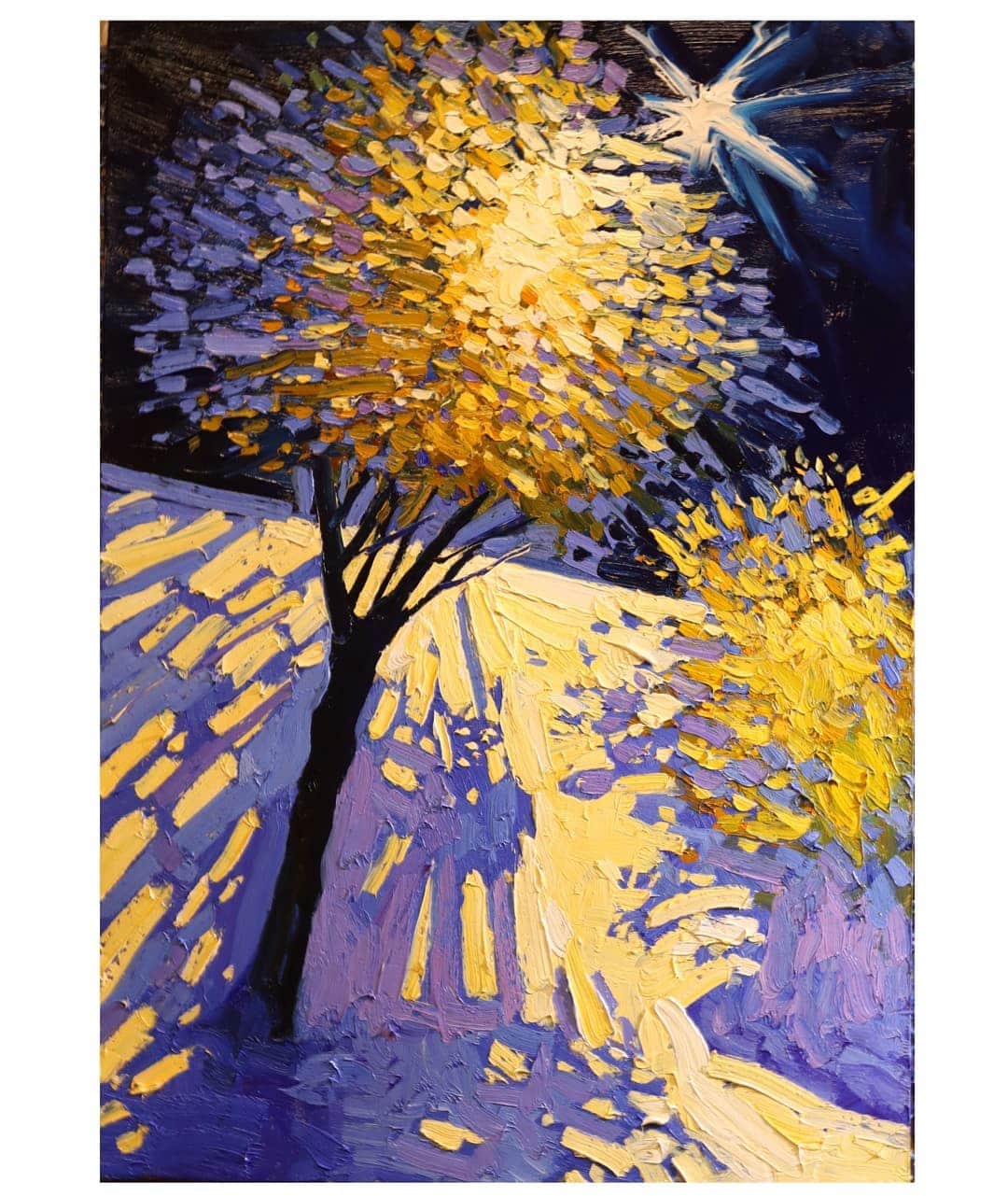 scparis232 scparis232