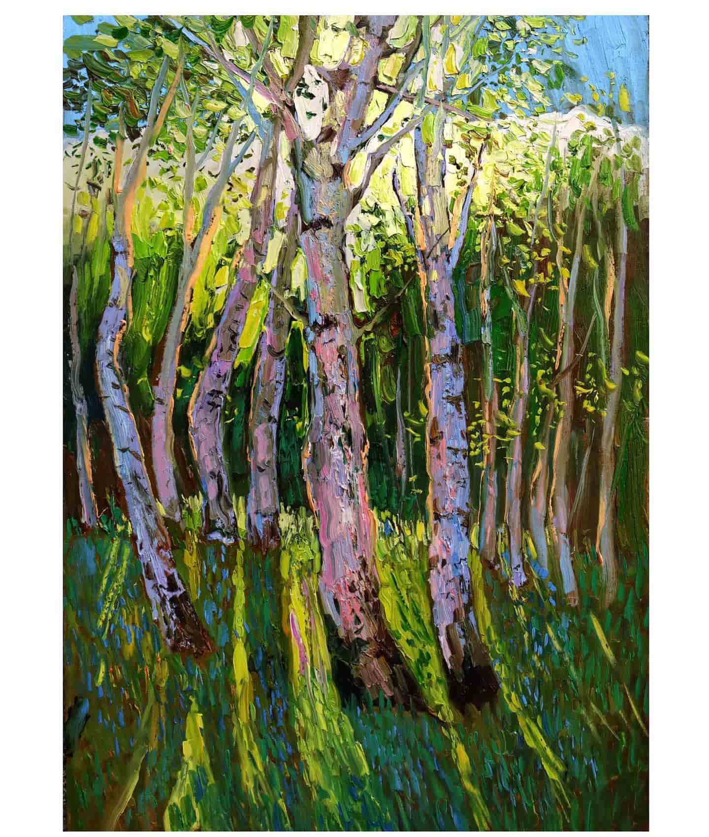 scparis252 scparis252