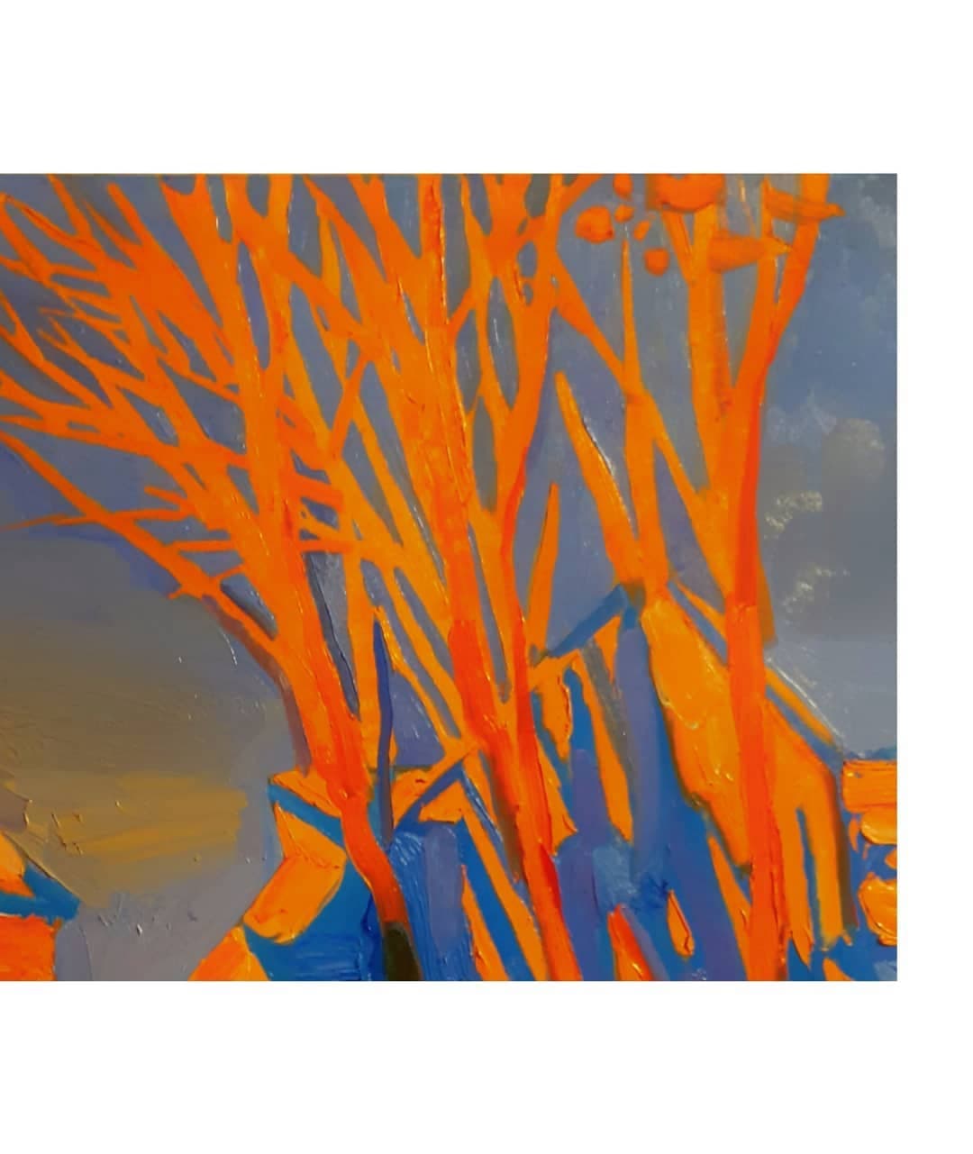 scparis269 scparis269