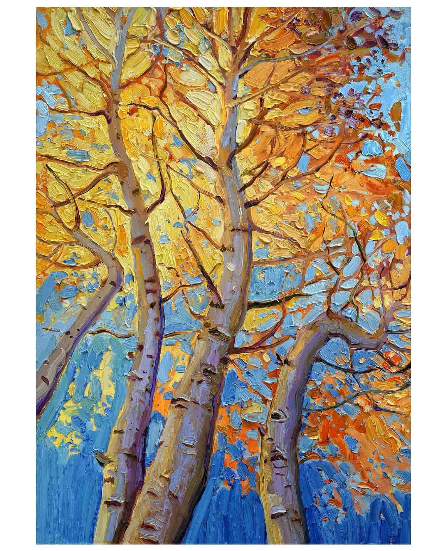 sergiu ciochină (114) sergiu ciochină (114)