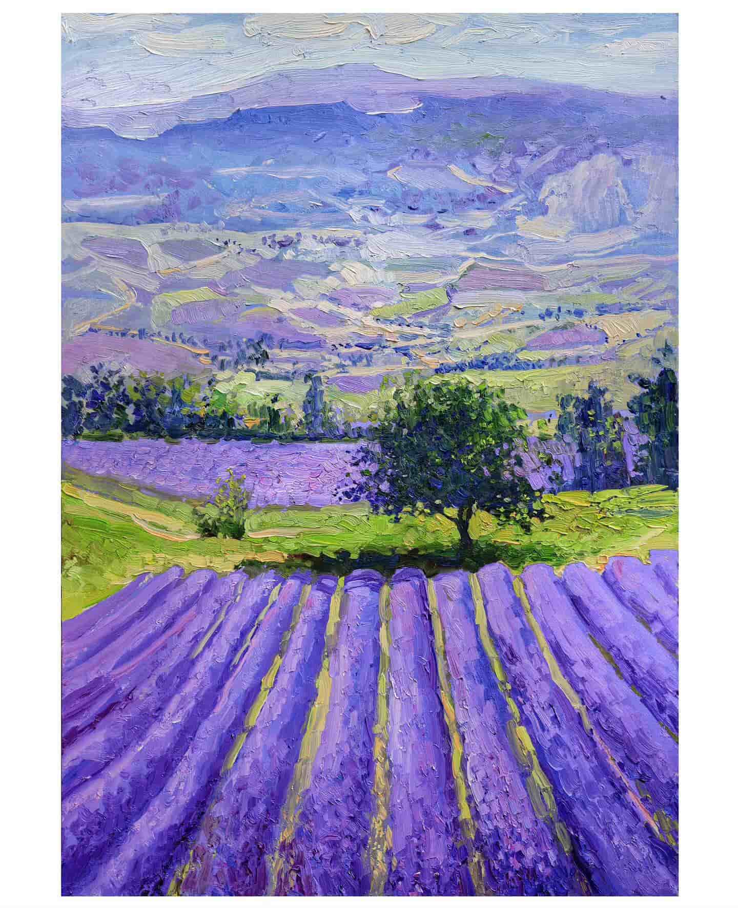 sergiu ciochină (170) sergiu ciochină (170)