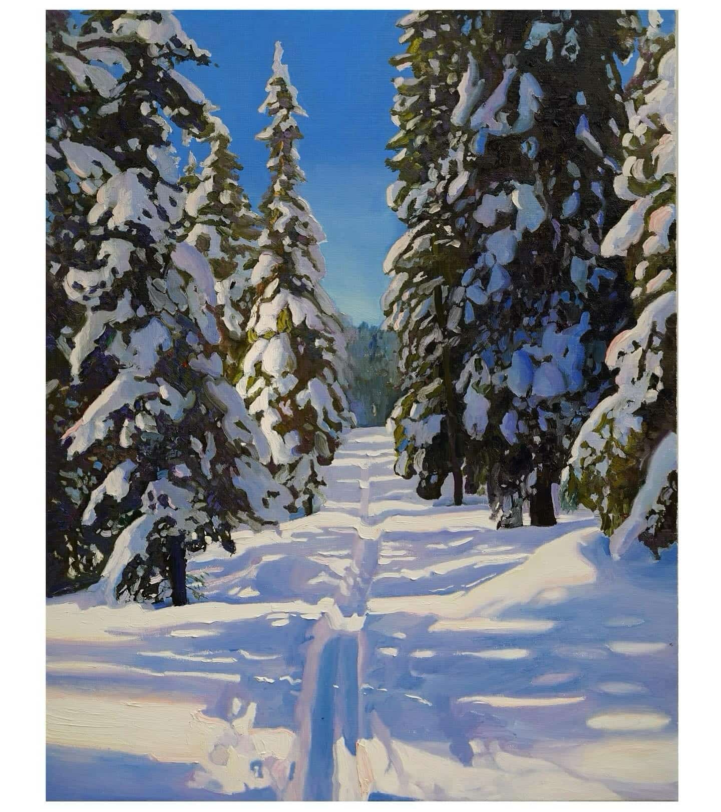 sergiu ciochină (24) sergiu ciochină (24)