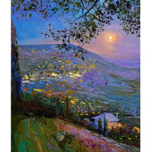 sergiu ciochină (81)