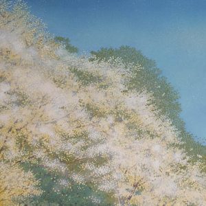 import placeholder for 3210