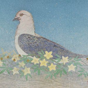 import placeholder for 3219