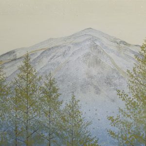 import placeholder for 3223